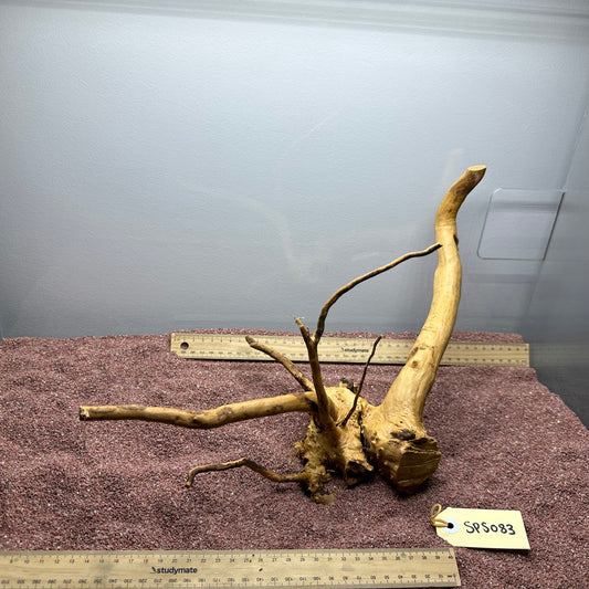Spiderwood (Small)