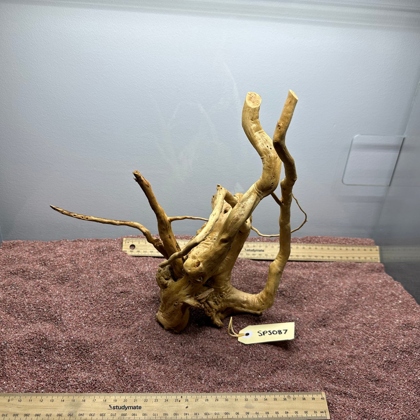 Spiderwood (Small)