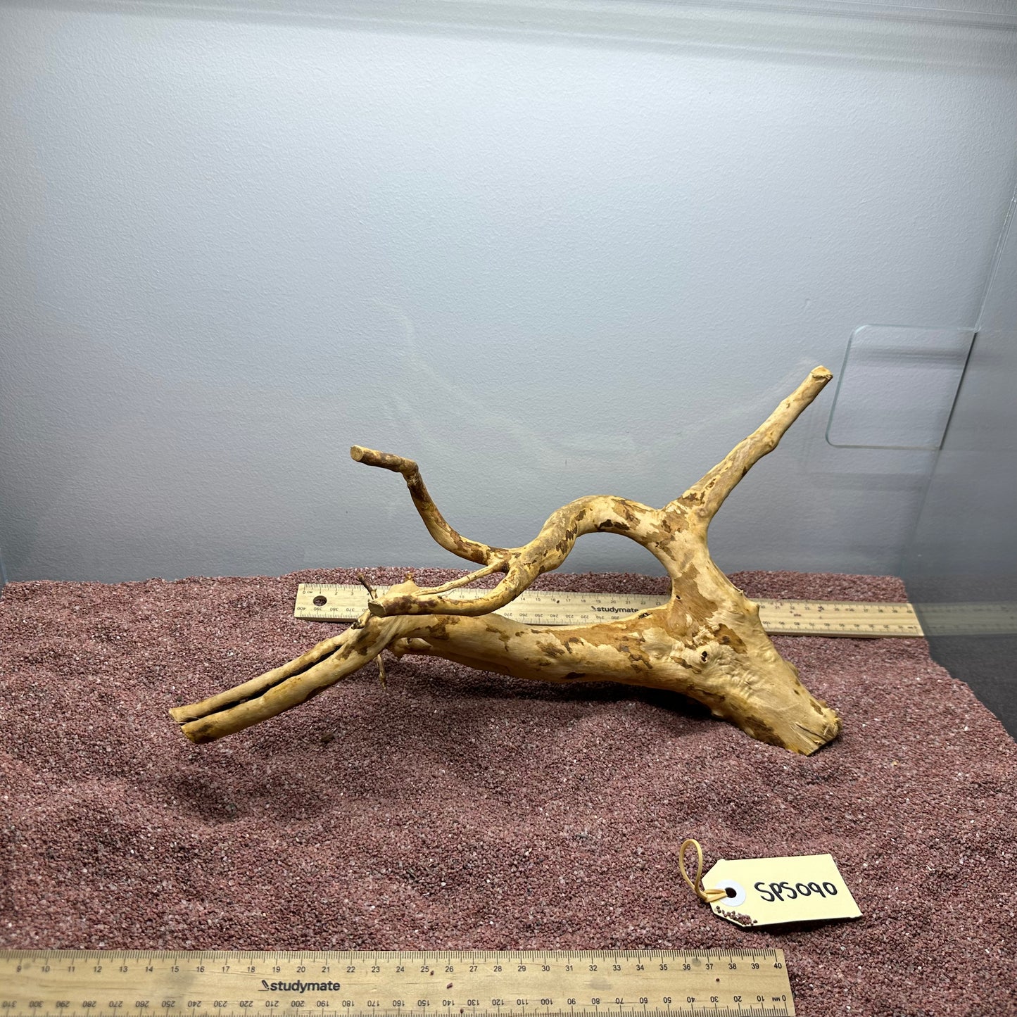 Spiderwood (Small)