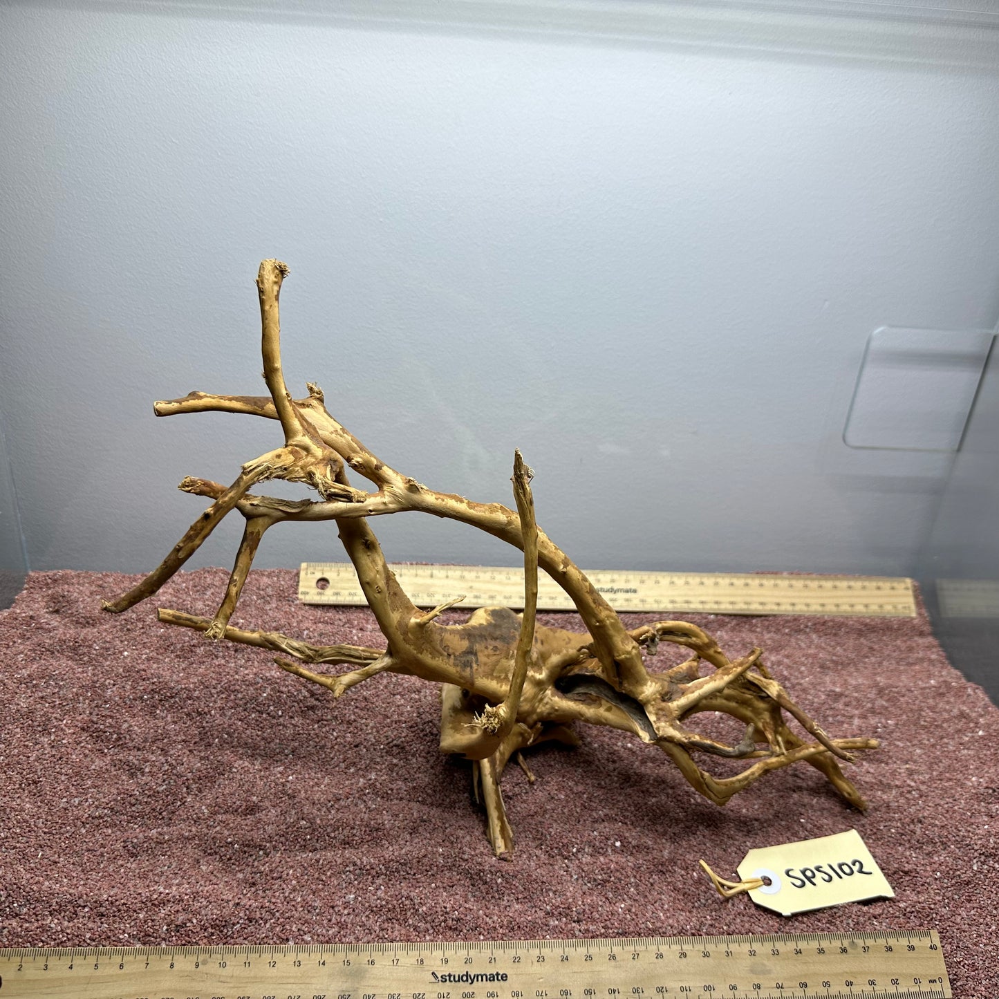 Spiderwood (Small)