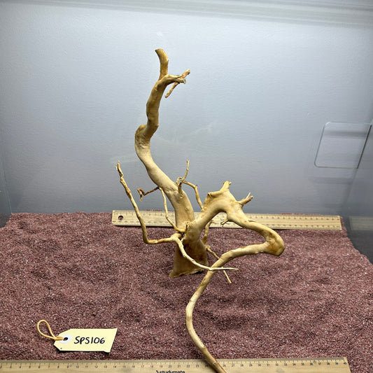 Spiderwood (Small)