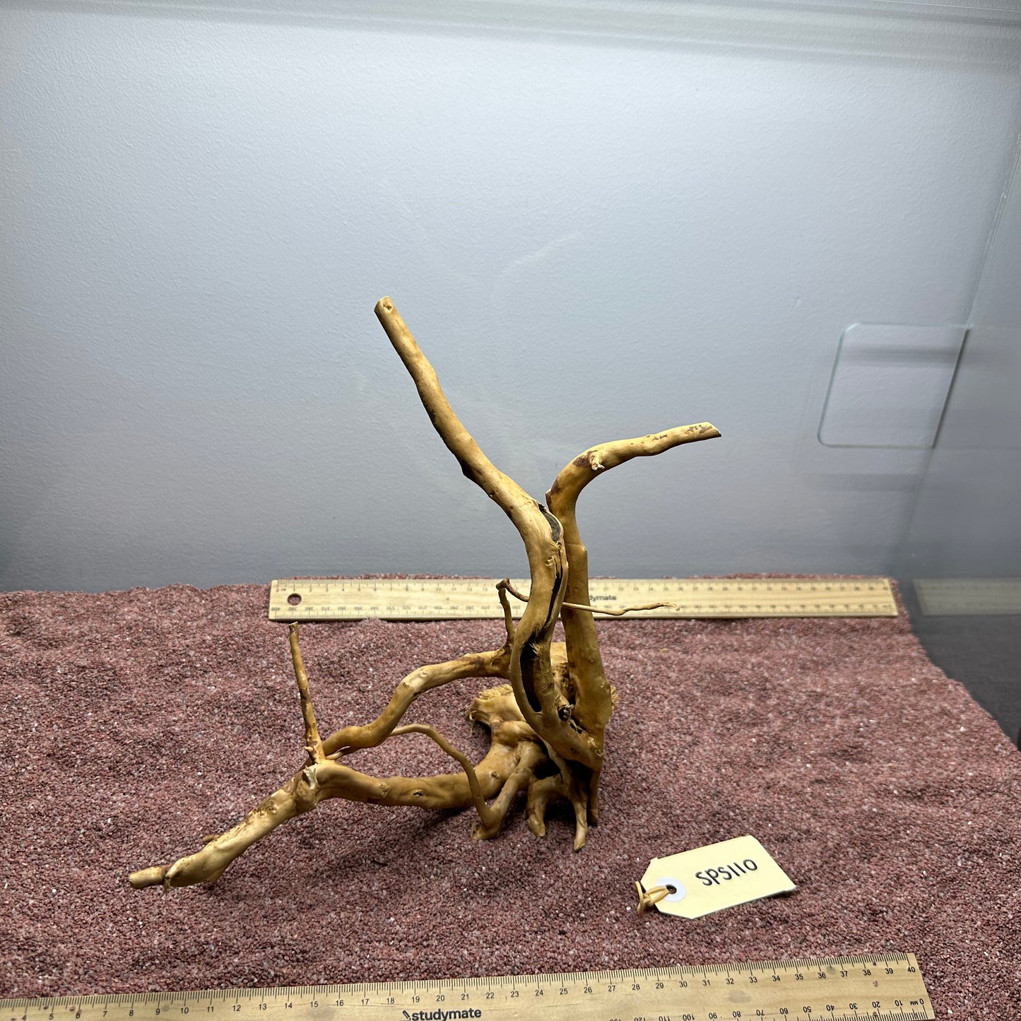 Spiderwood (Small)