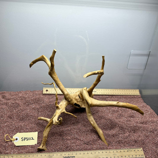 Spiderwood (Small)