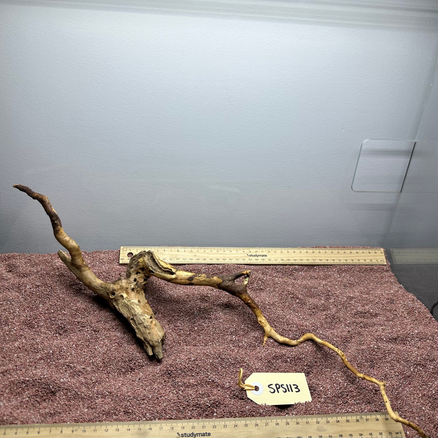 Spiderwood (Small)