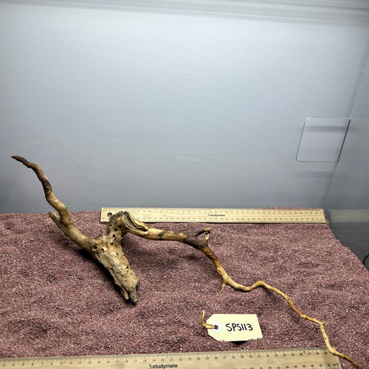 Spiderwood (Small)