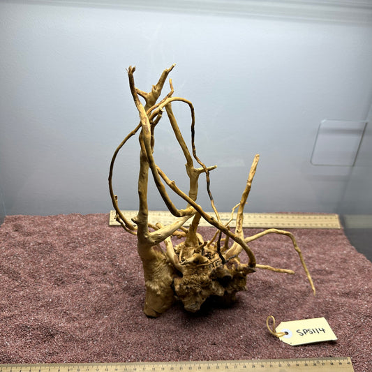 Spiderwood (Small)