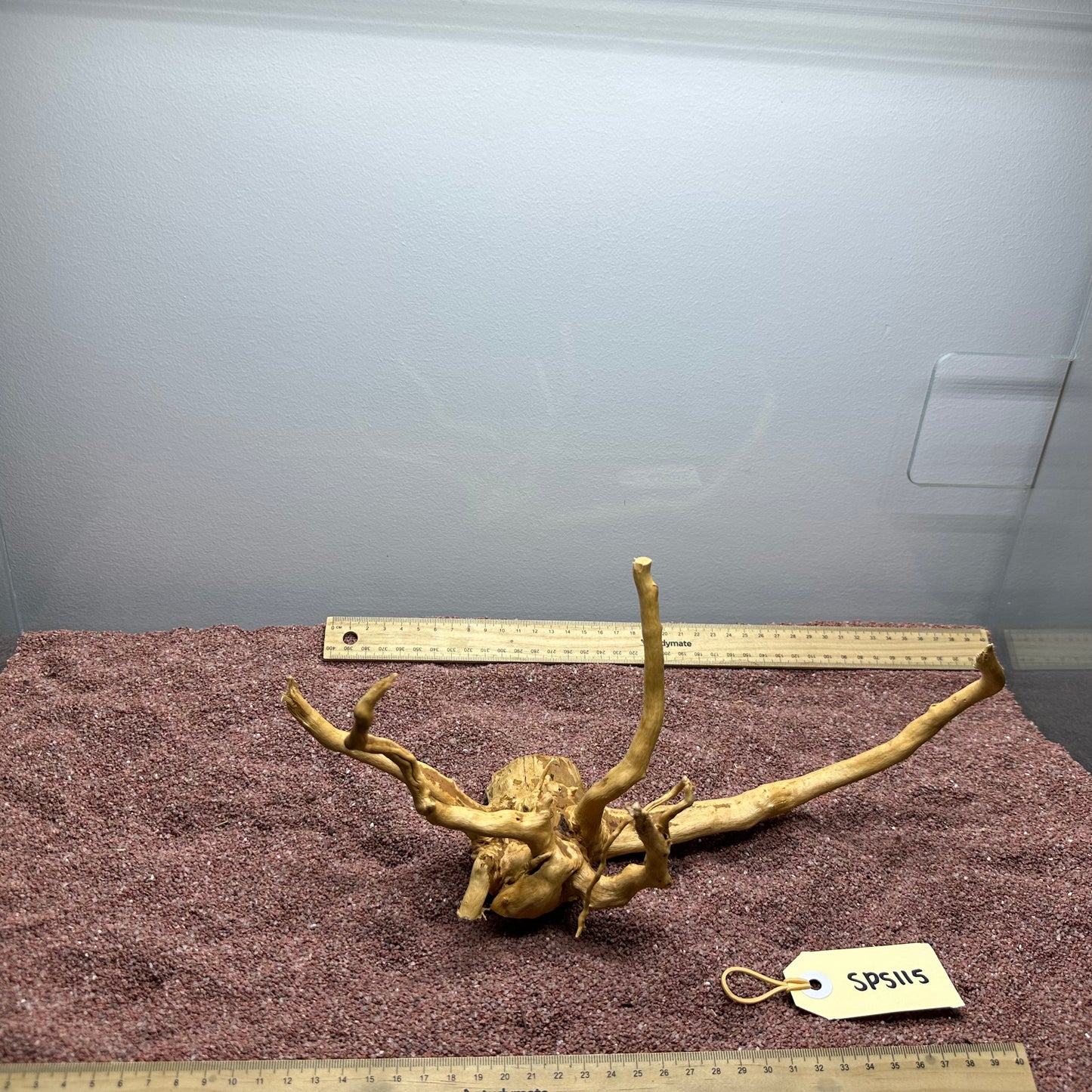 Spiderwood (Small)