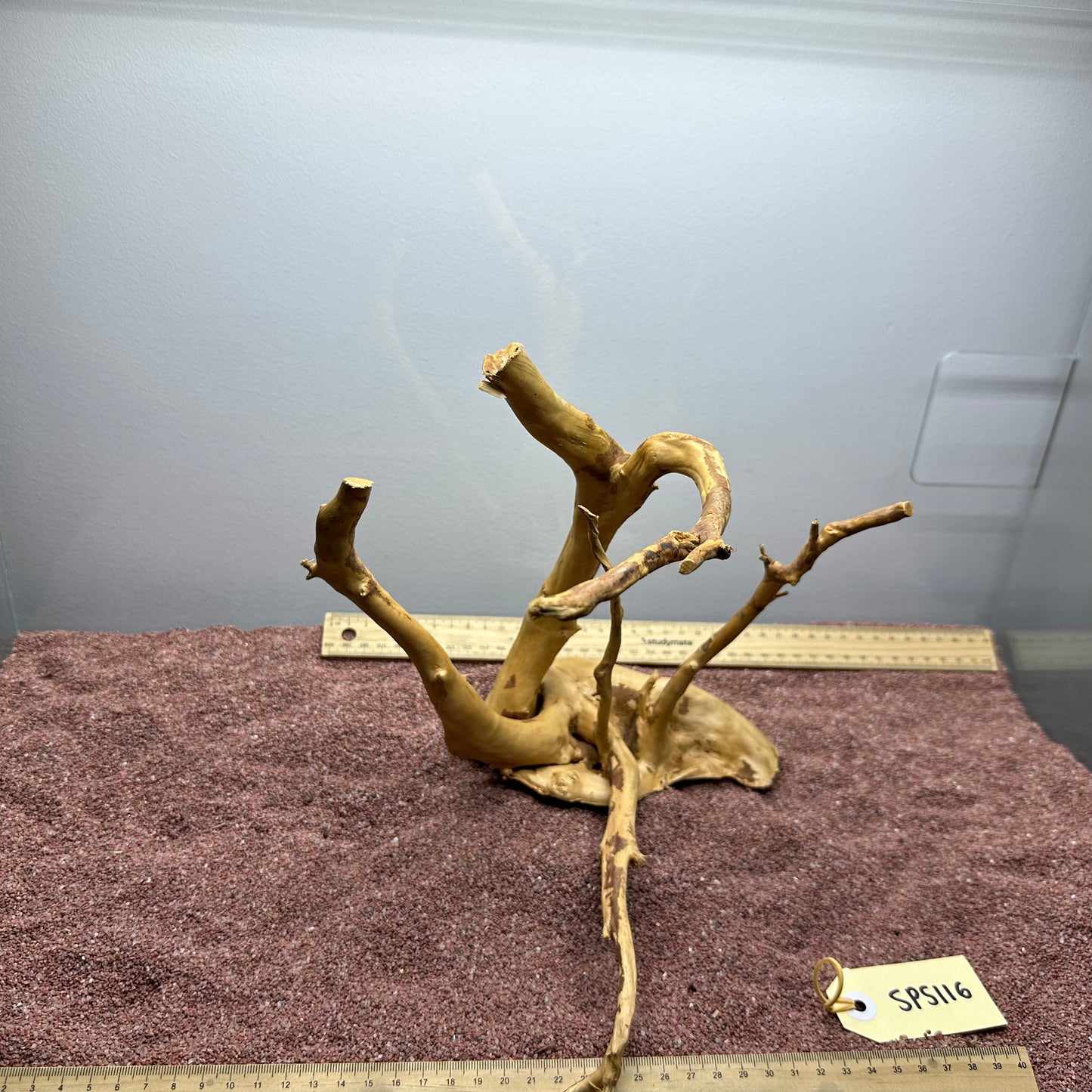 Spiderwood (Small)
