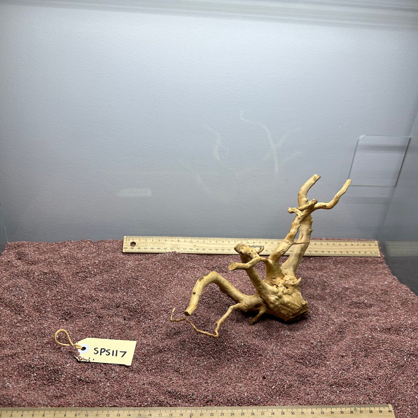Spiderwood (Small)
