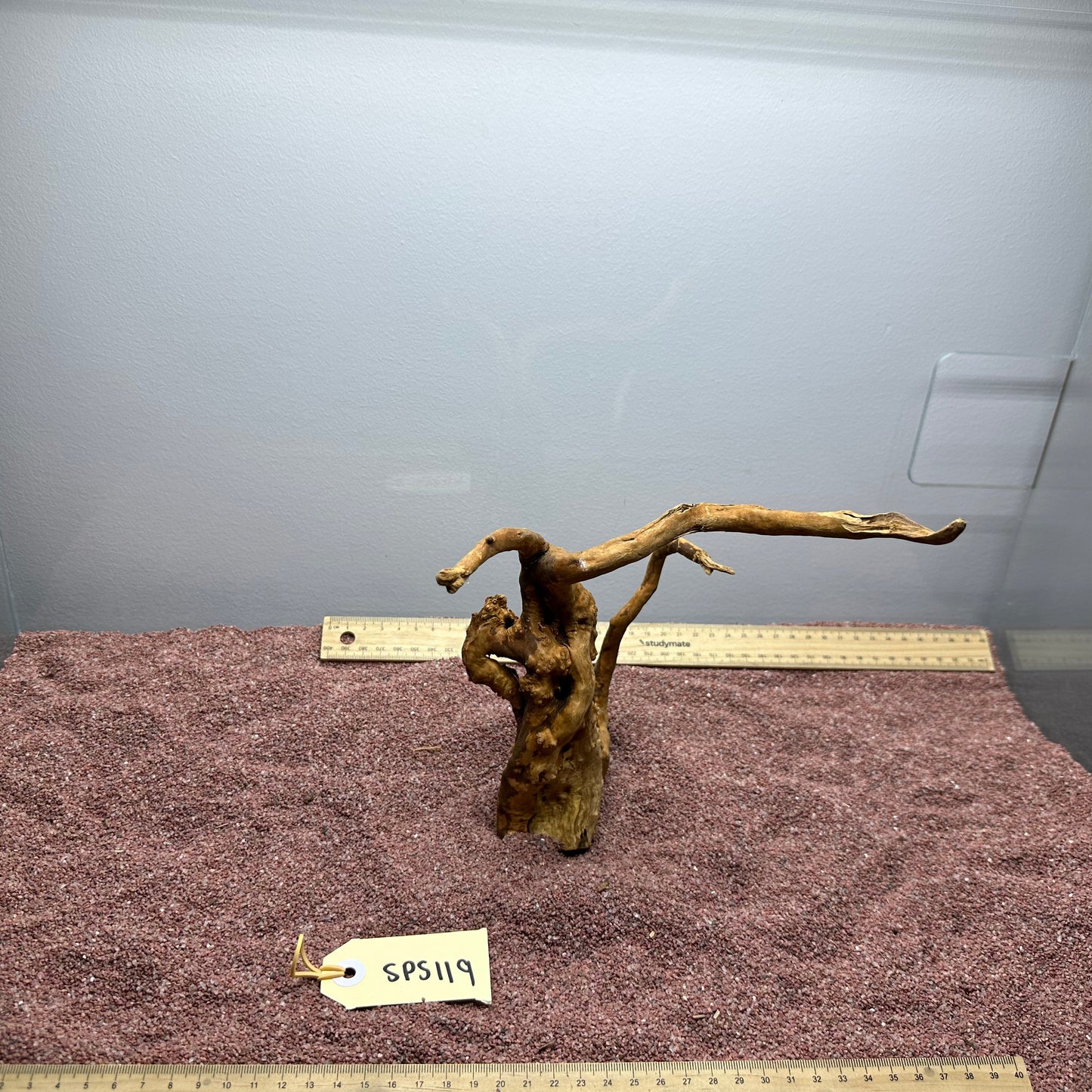 Spiderwood (Small)