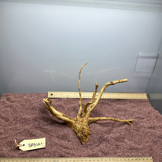 Spiderwood (Small)