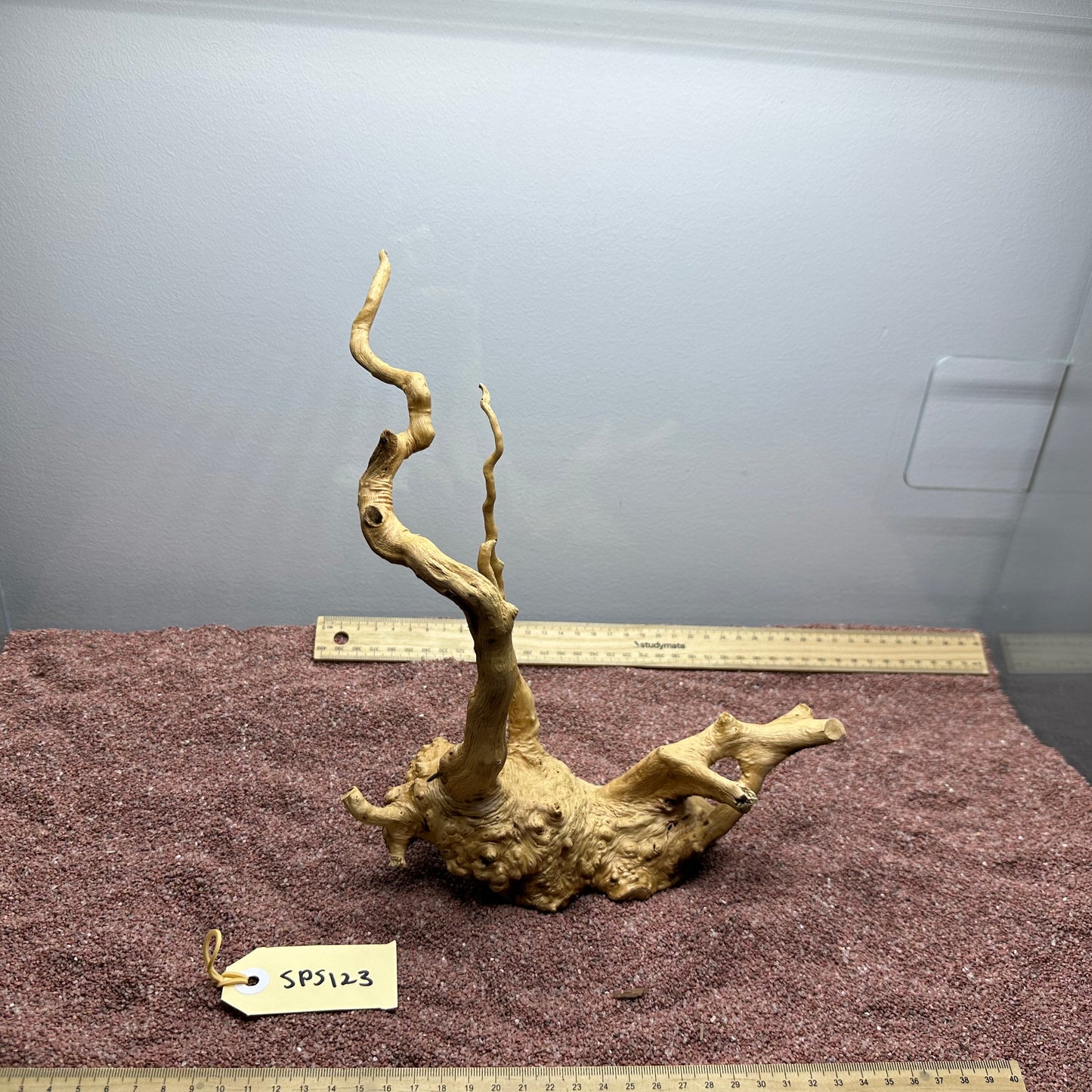 Spiderwood (Small)