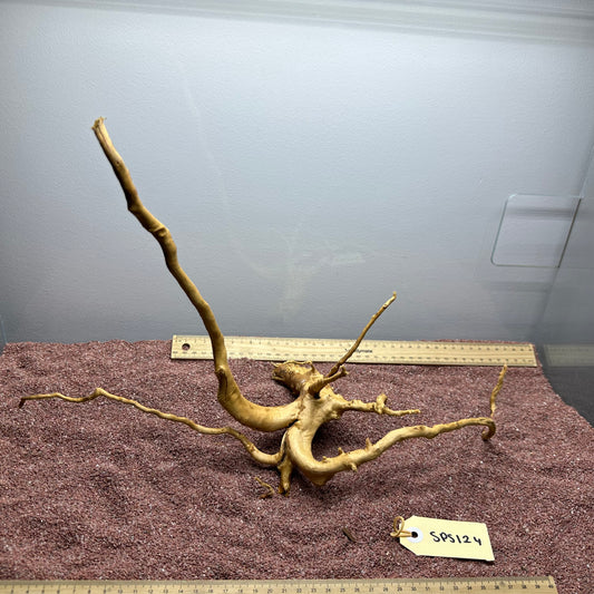 Spiderwood (Small)