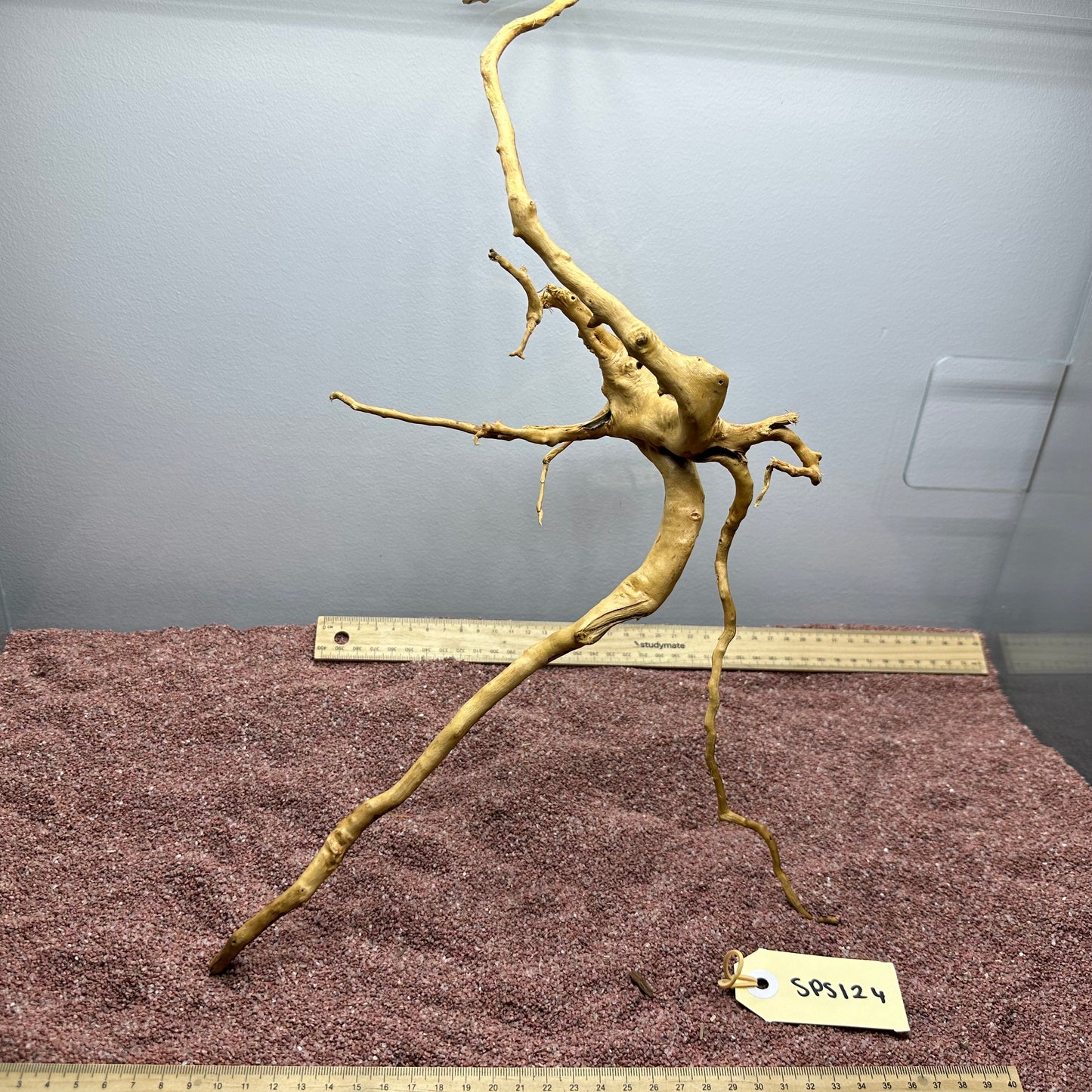 Spiderwood (Small)