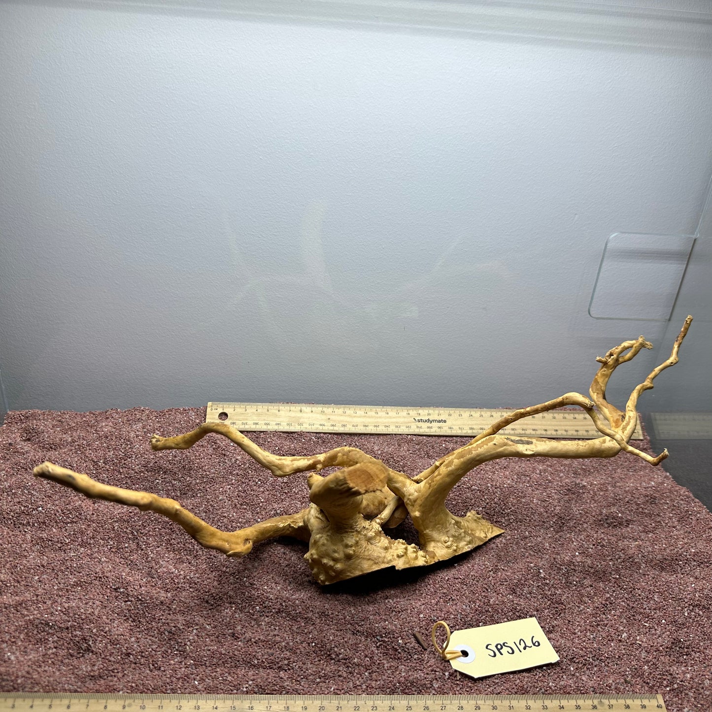 Spiderwood (Small)