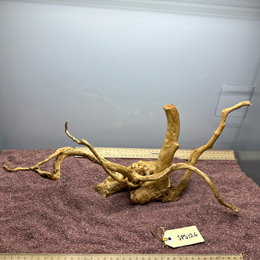 Spiderwood (Small)