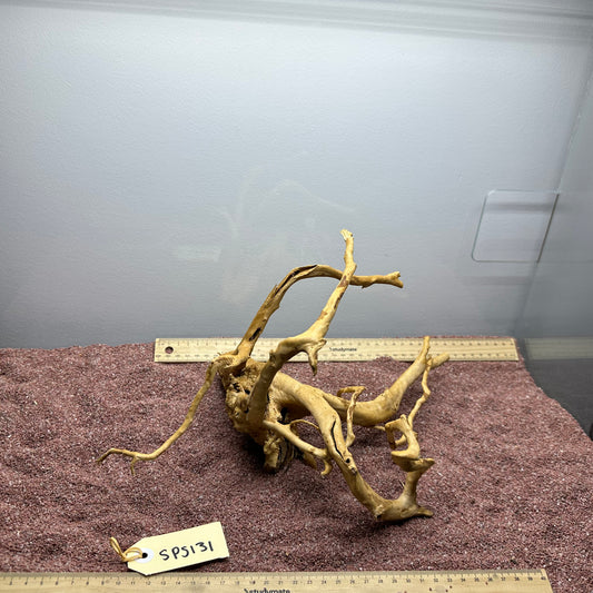 Spiderwood (Small)