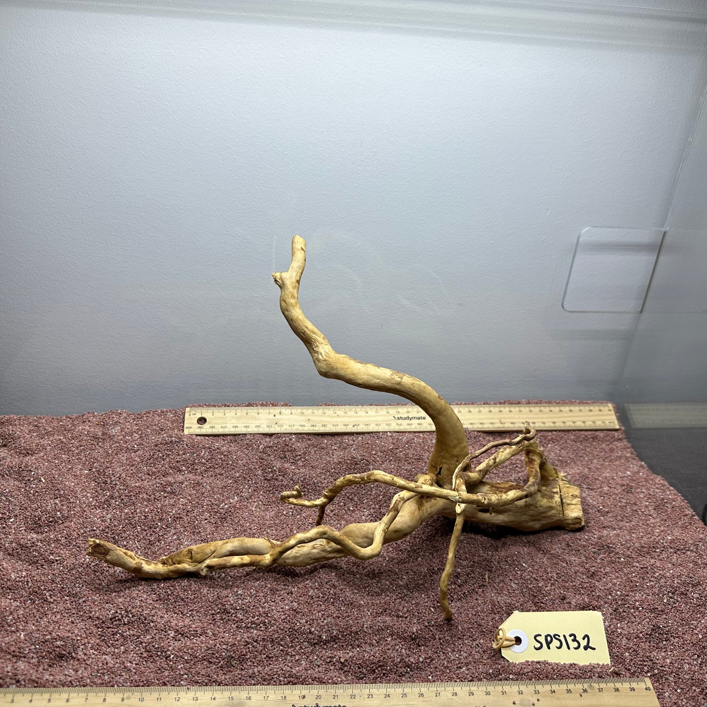 Spiderwood (Small)