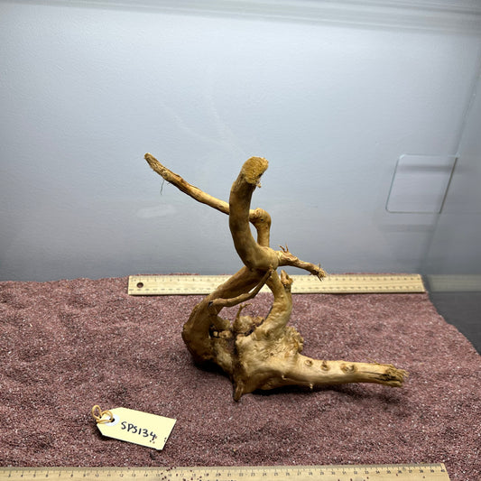 Spiderwood (Small)