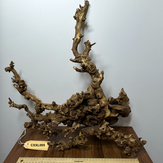 Coral Wood (XX Large)