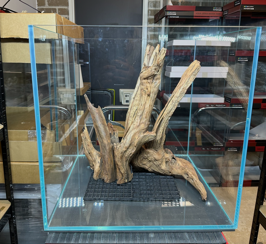 Aquascaped 50cm Cube #003