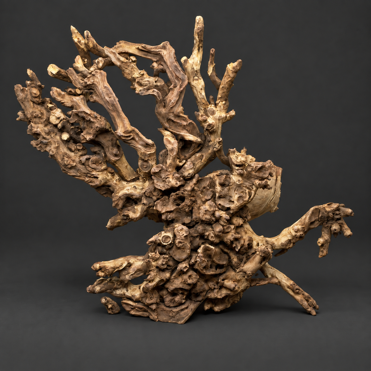 Coral Wood