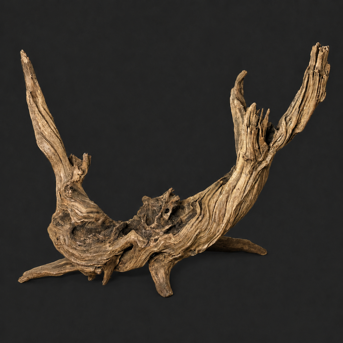 Aquarium Driftwood