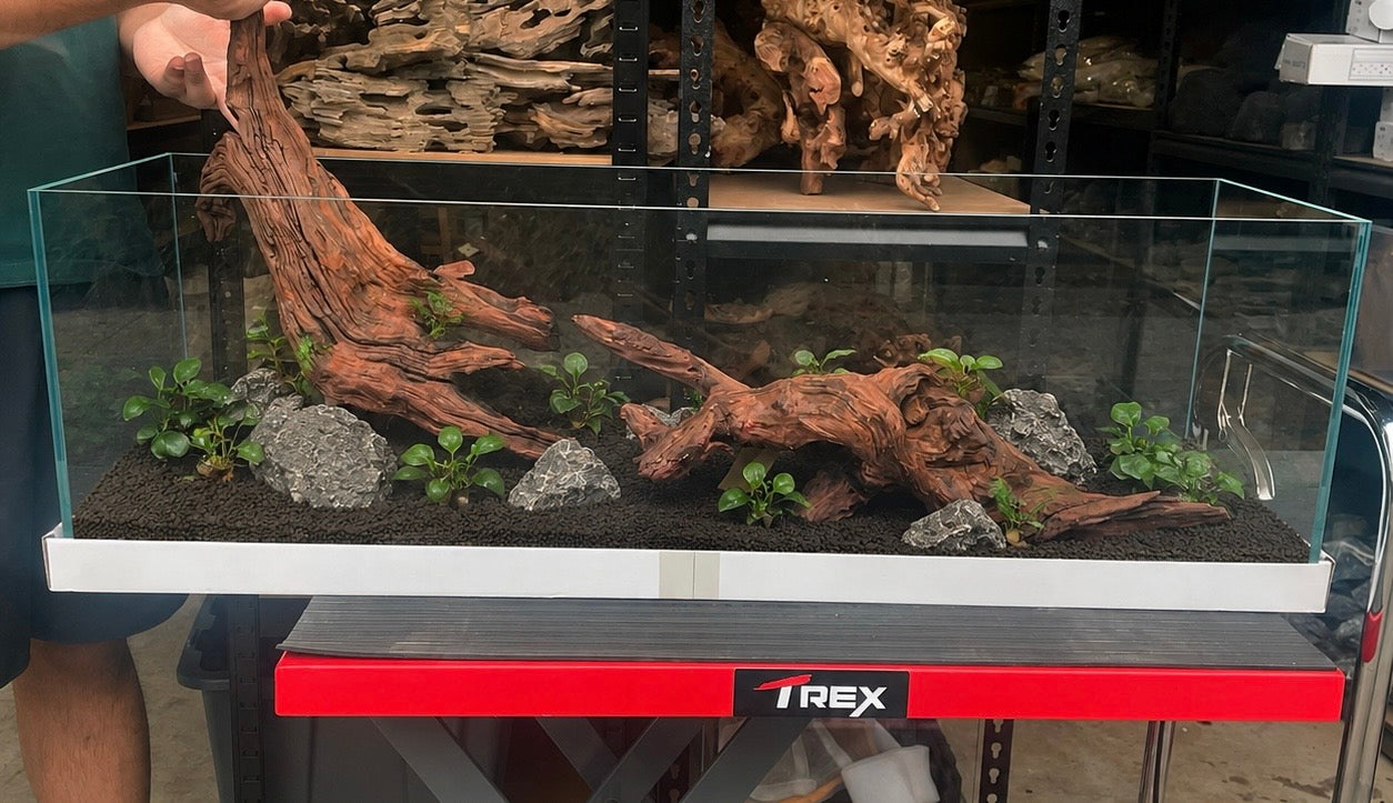 Driftwood (Large)