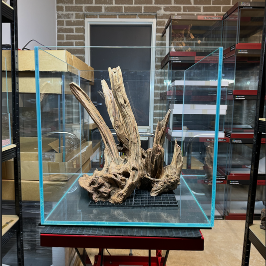 Aquascaped 50cm Cube #003