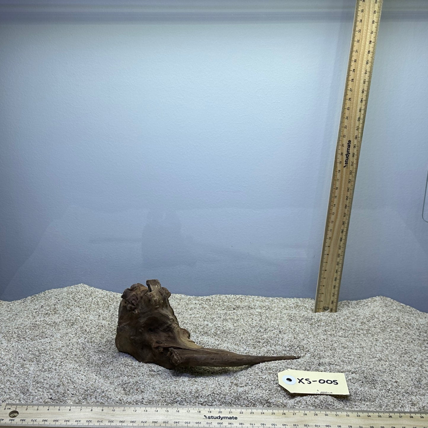 Driftwood (X Small)