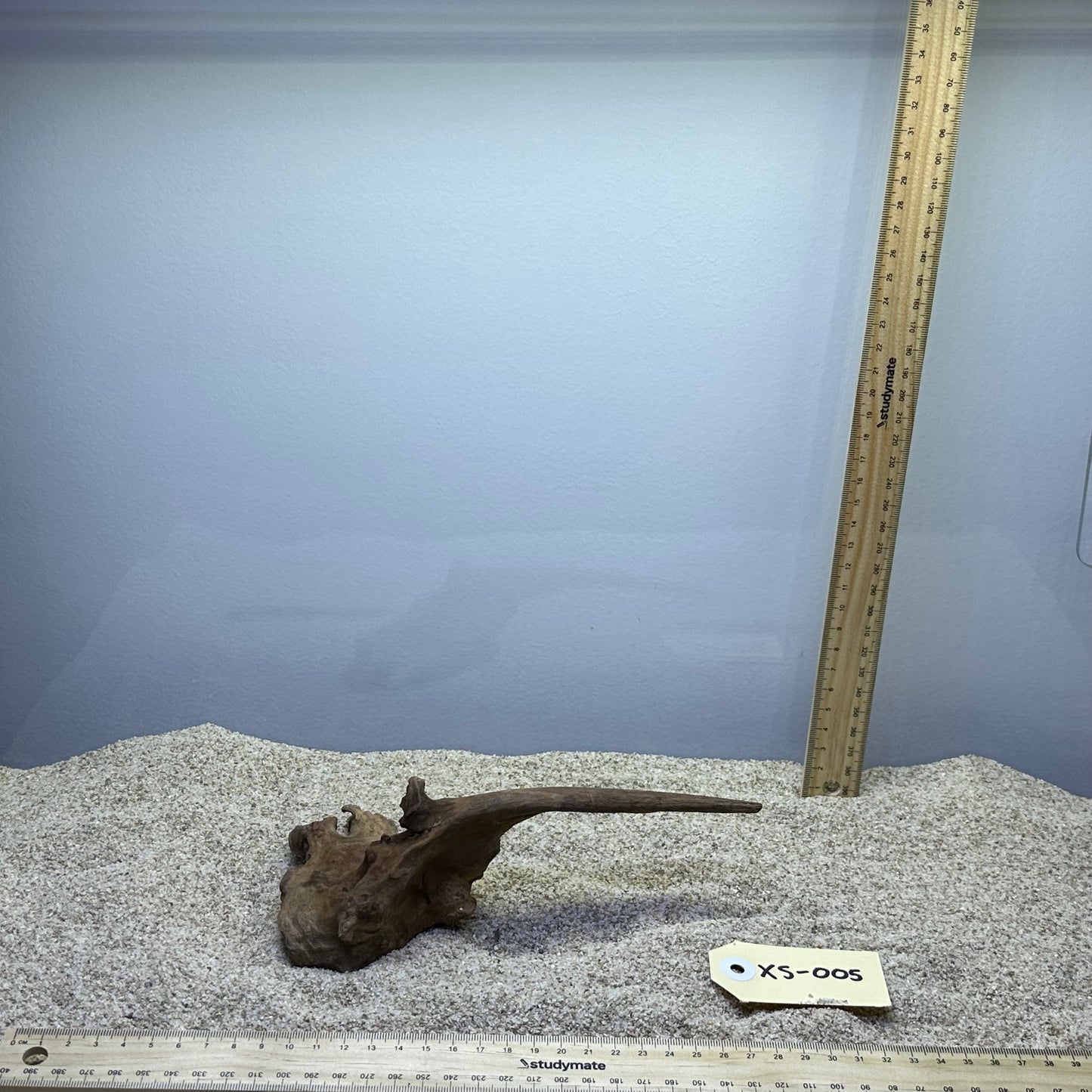 Driftwood (X Small)