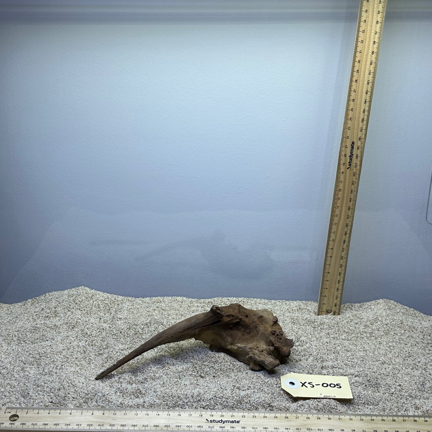 Driftwood (X Small)
