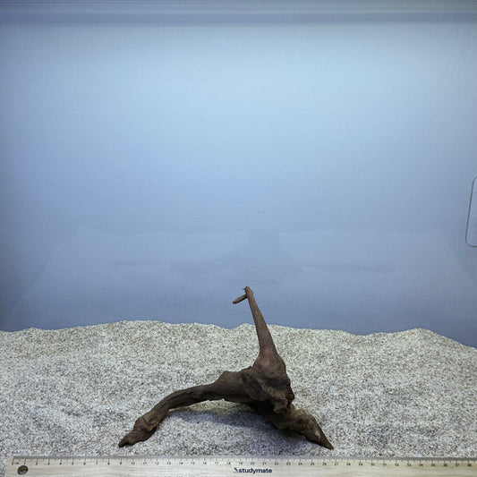 Driftwood (X Small)