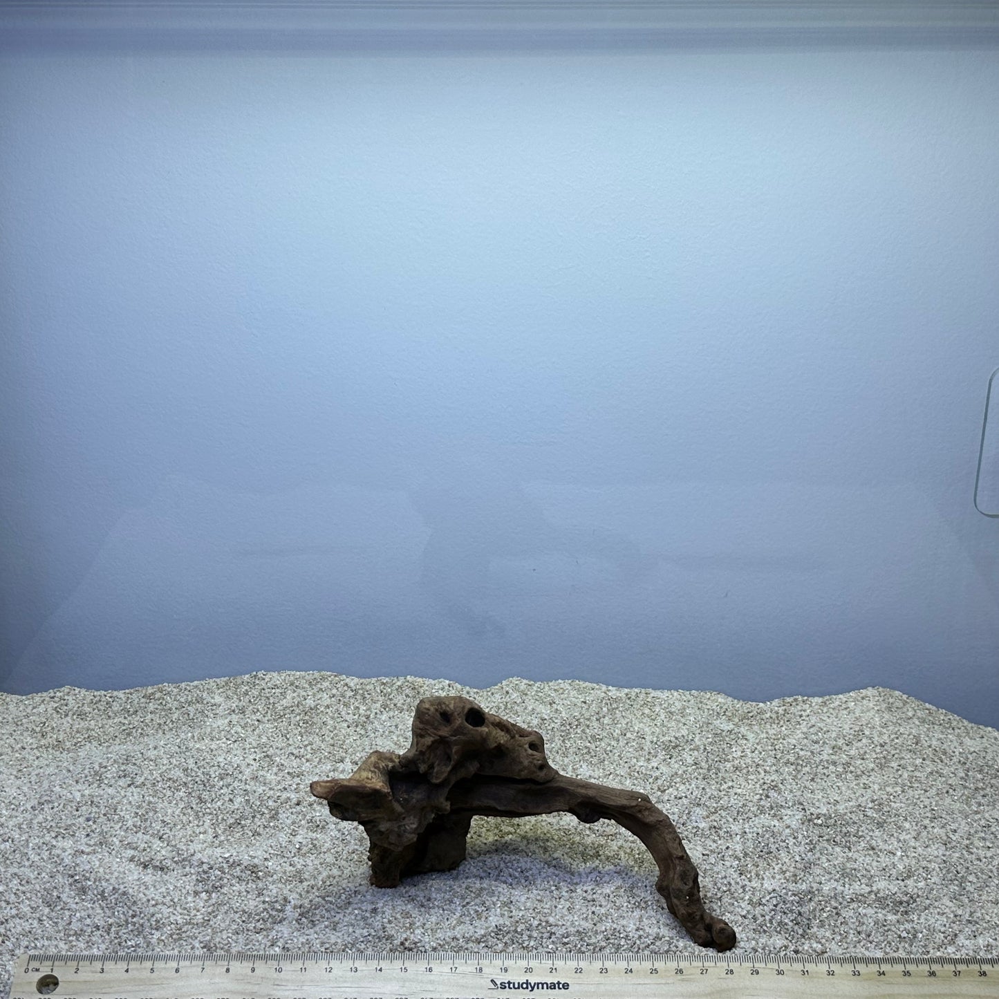 Driftwood (X Small)
