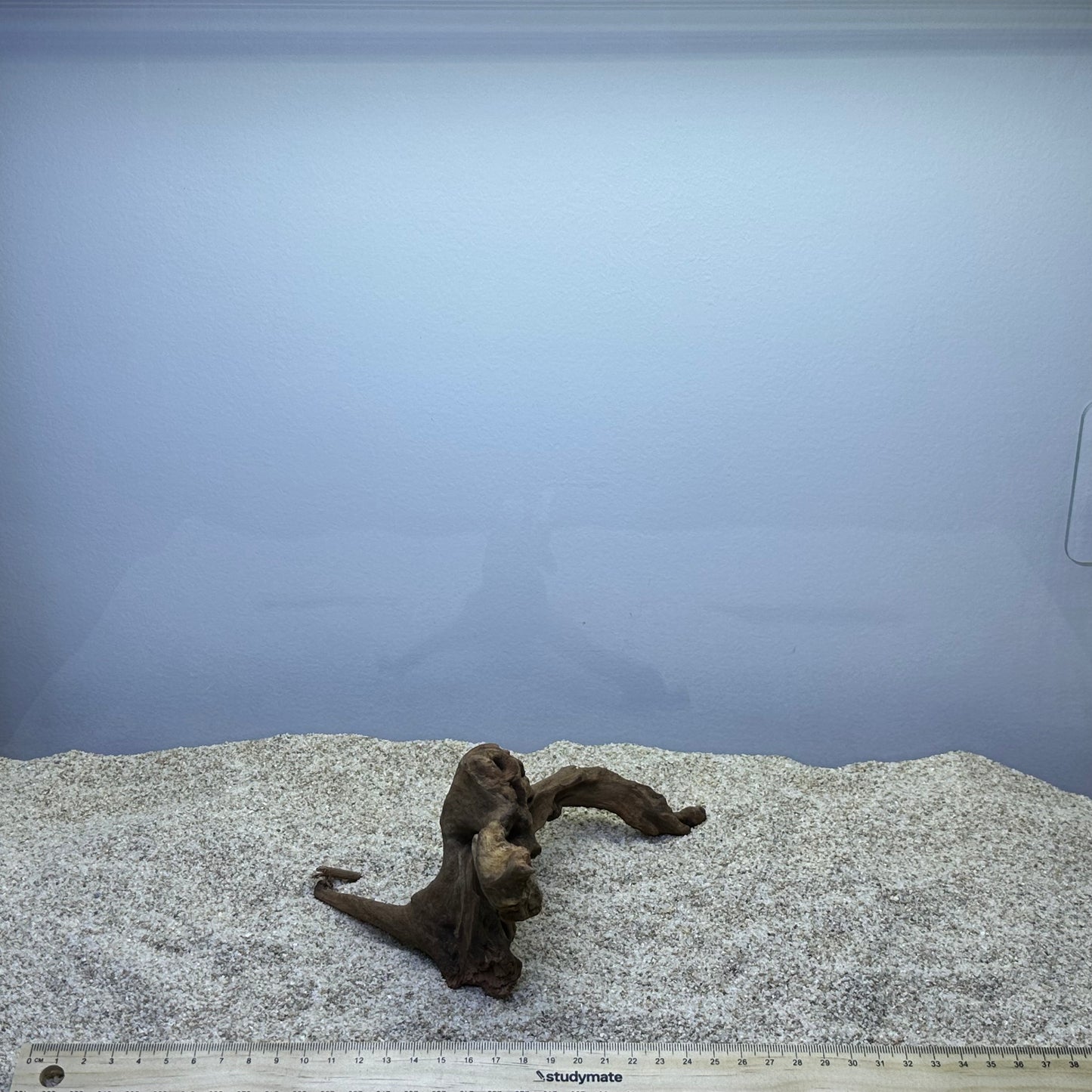 Driftwood (X Small)