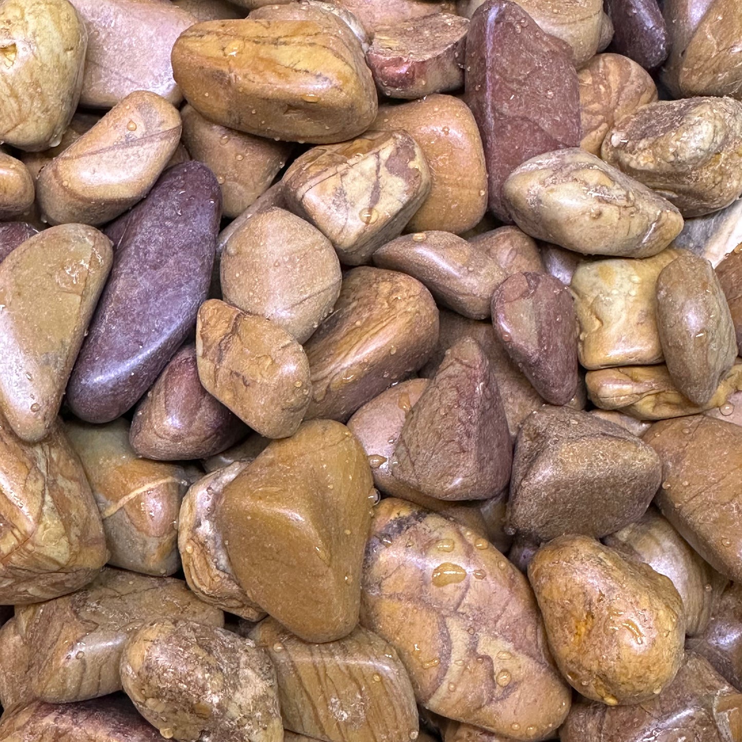 Pebbles Orange (Large)