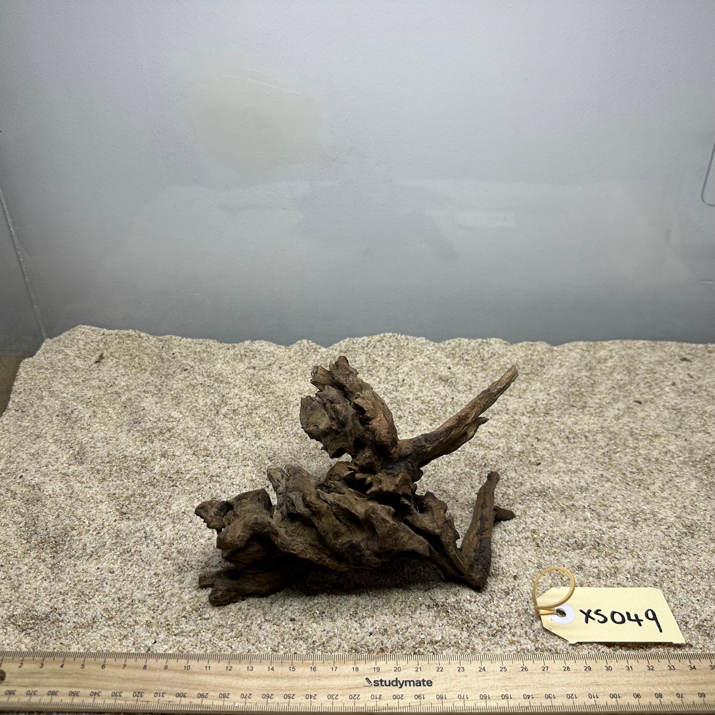 Driftwood (X Small)