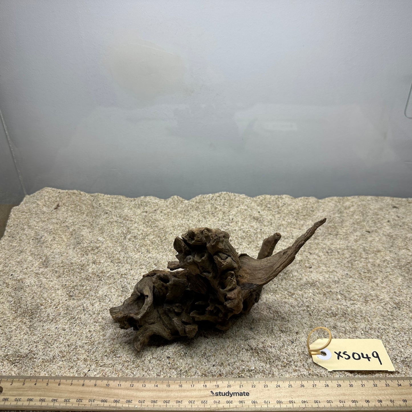 Driftwood (X Small)