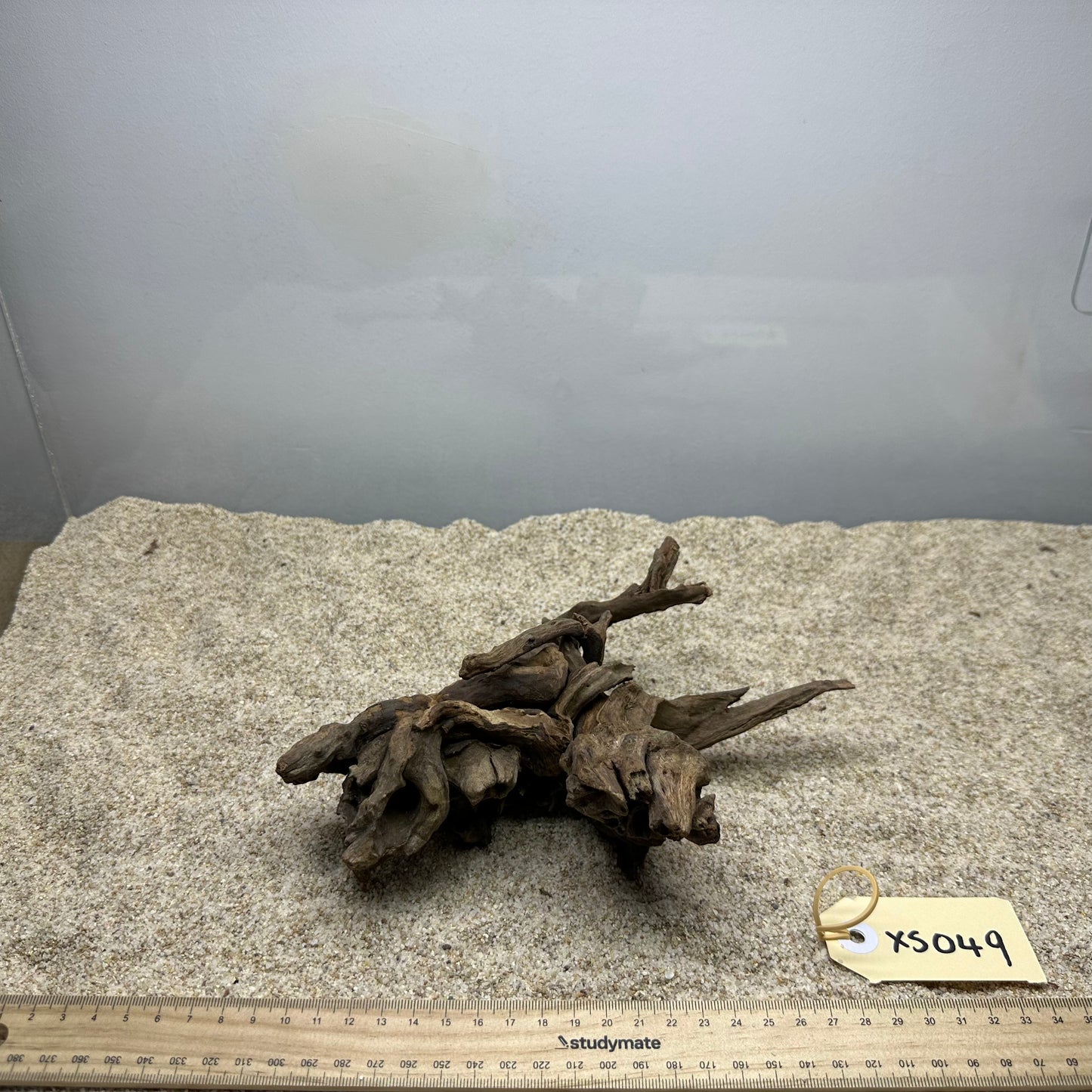 Driftwood (X Small)