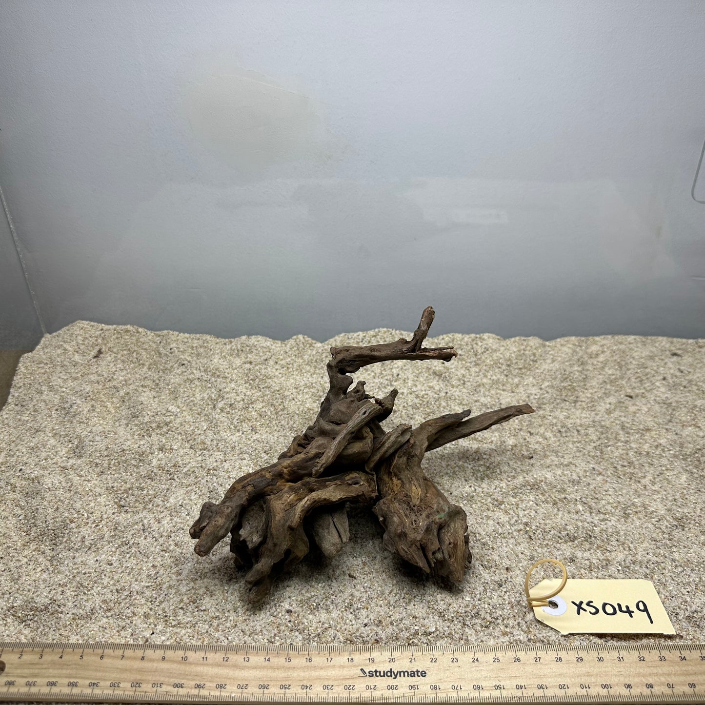 Driftwood (X Small)