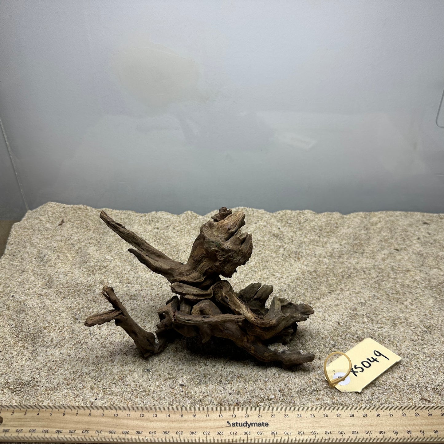 Driftwood (X Small)