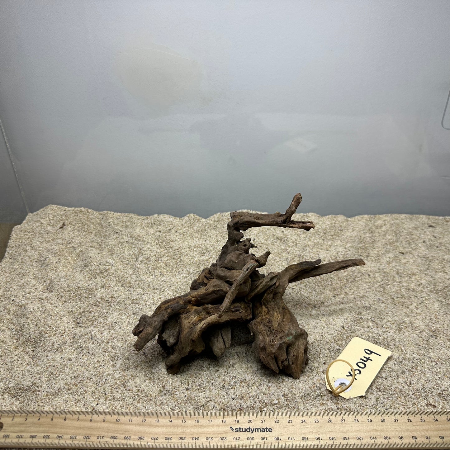 Driftwood (X Small)