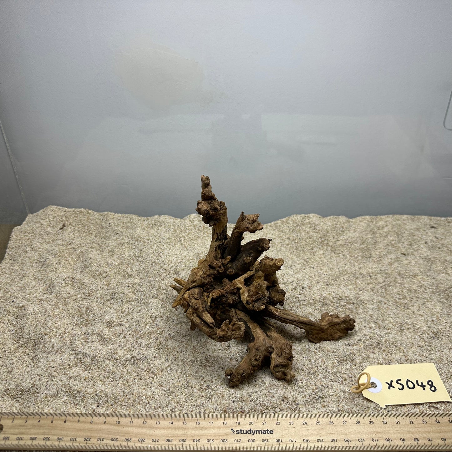 Driftwood (X Small)
