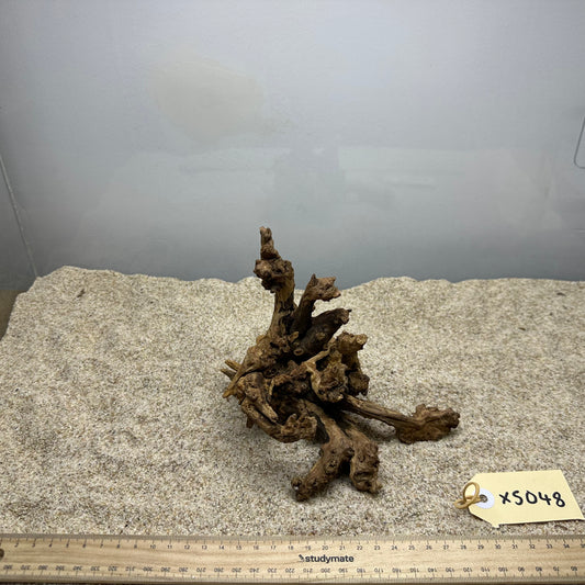 Driftwood (X Small)