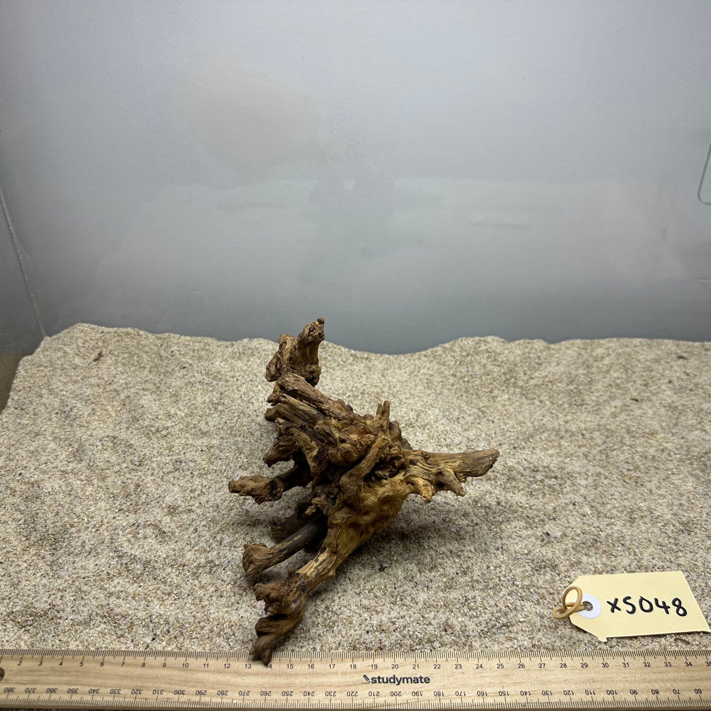 Driftwood (X Small)