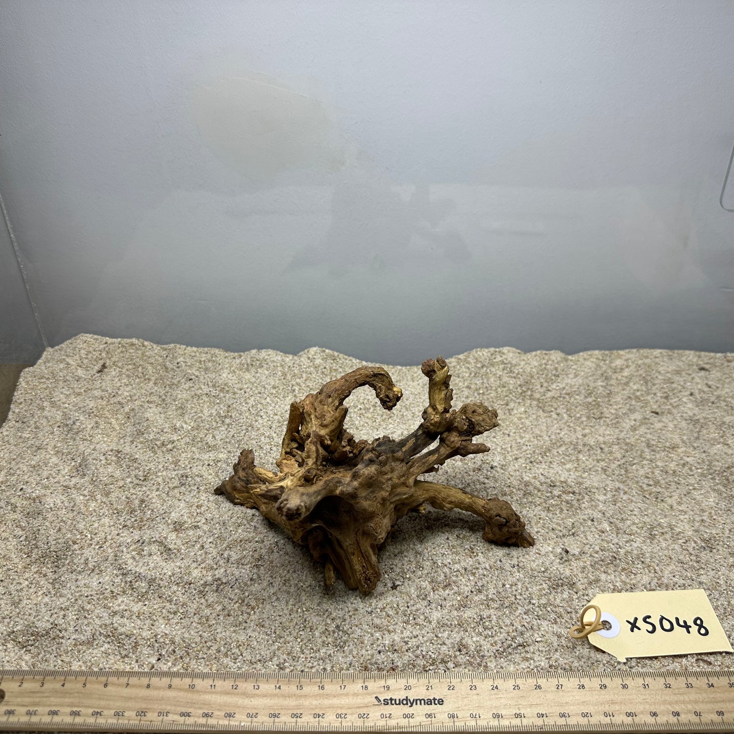 Driftwood (X Small)