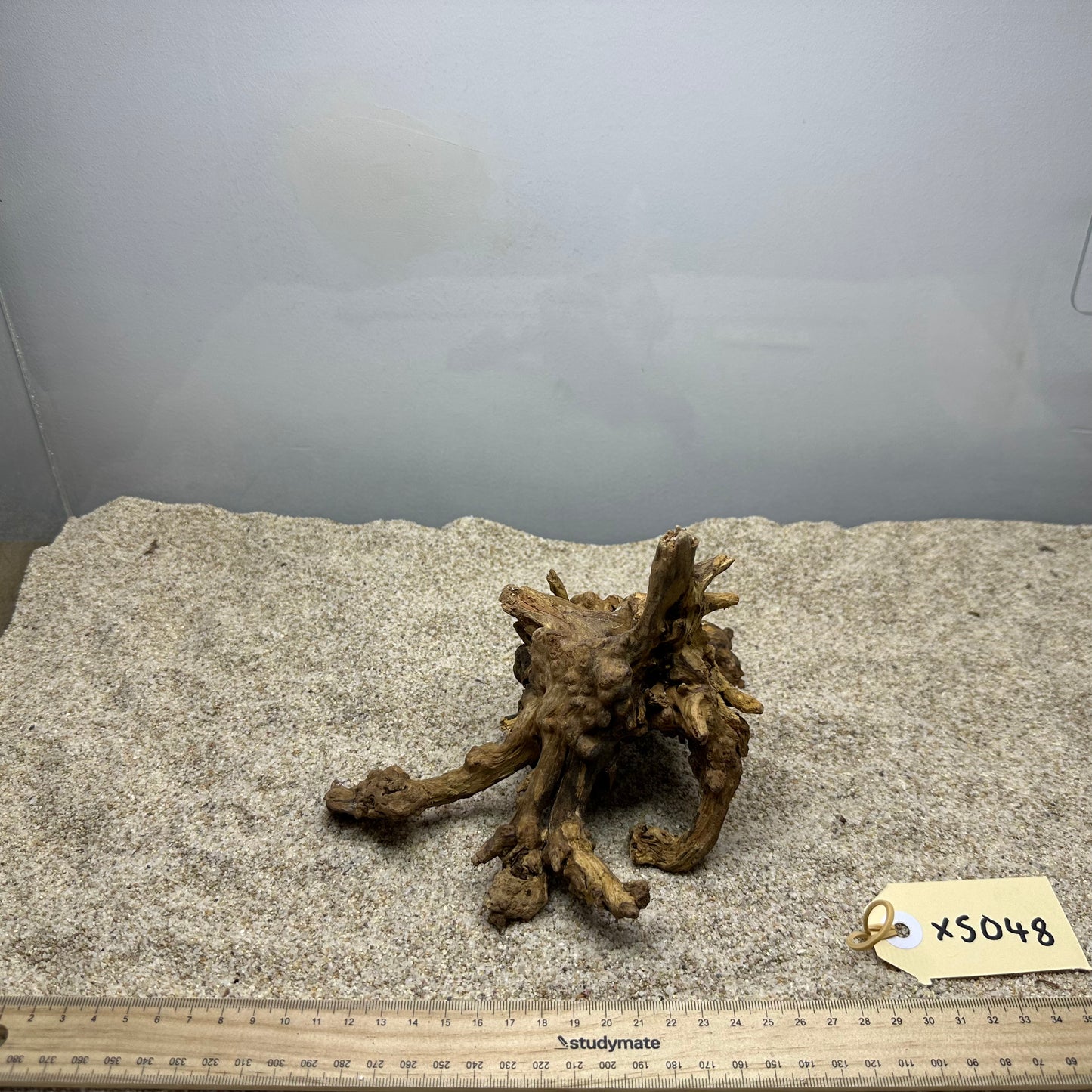 Driftwood (X Small)