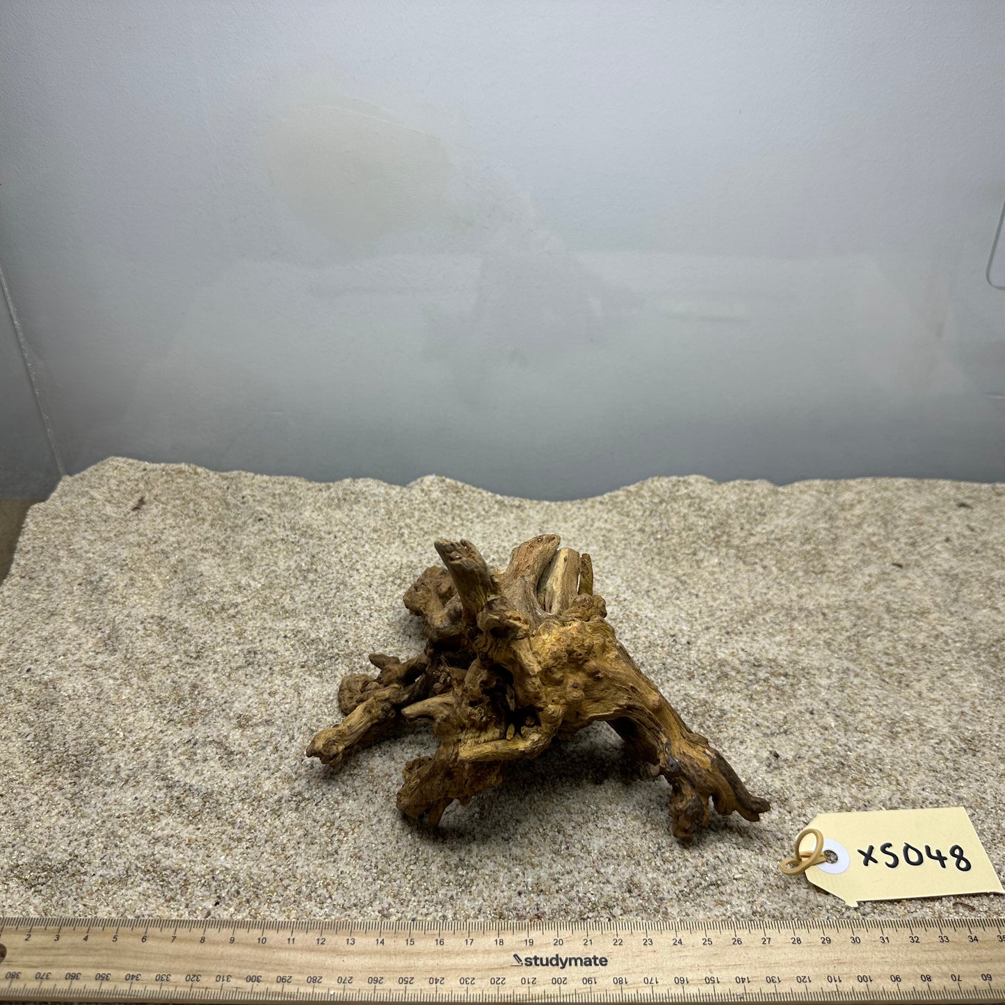 Driftwood (X Small)
