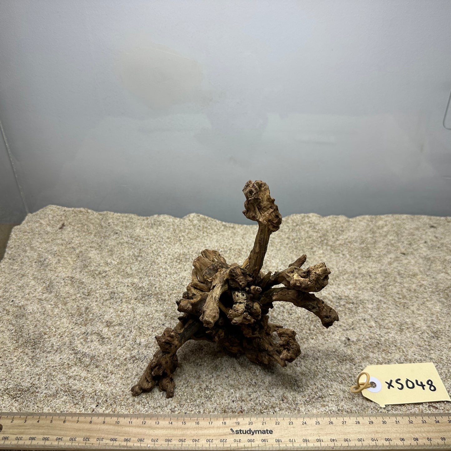 Driftwood (X Small)