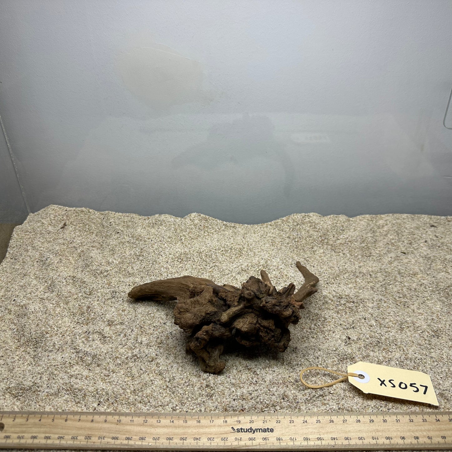 Driftwood (X Small)